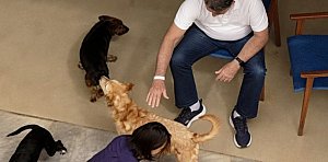 Monitoramento de Bolsonaro é marcado por ataques de cães e exposição de policiais ao relento