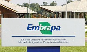 Embrapa recebe aumento de 26,7% no orçamento de pesquisa para 2026