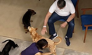 Monitoramento de Bolsonaro é marcado por ataques de cães e exposição de policiais ao relento