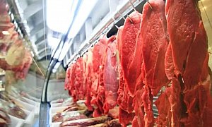 Sem pânico: Veto europeu à carne brasileira é específico para áreas de desmatamento