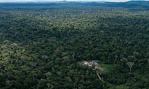 Demarcação histórica: após 30 anos, povo isolado Kawahiva finalmente tem terra protegida contra grileiros