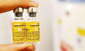 Primeira morte por febre amarela em 2024 acende alerta para vacinação em São Paulo